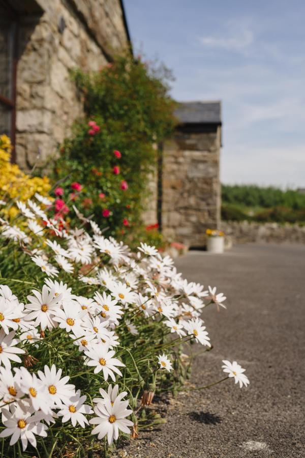 Creevy Cottages Rossnowlagh Buitenkant foto