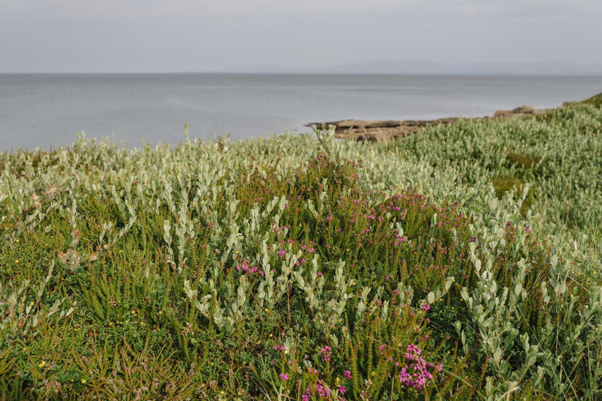 Creevy Cottages Rossnowlagh Buitenkant foto