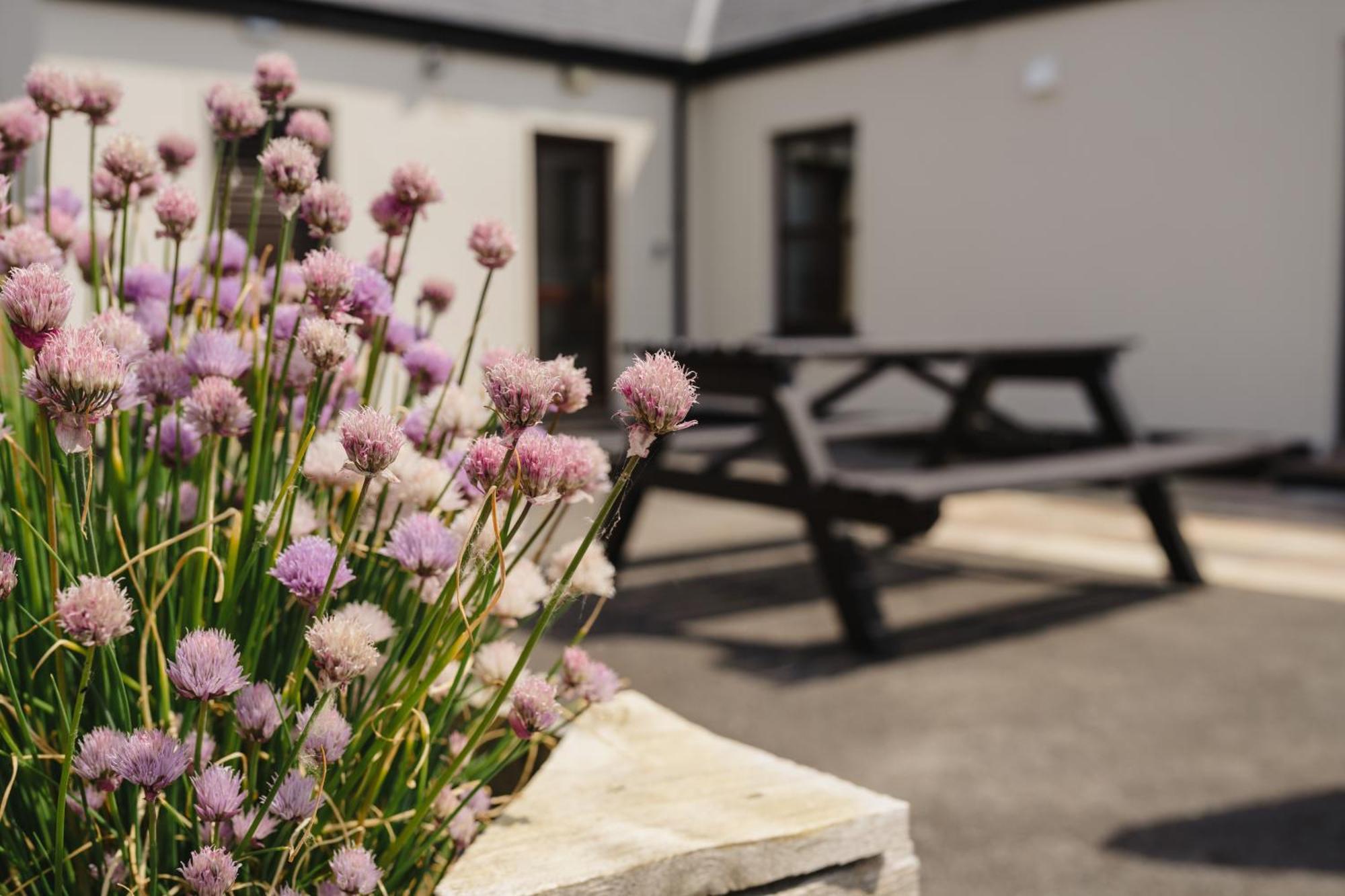 Creevy Cottages Rossnowlagh Buitenkant foto
